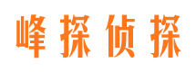 叶县市场调查